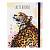 C64-1559 Скетчбук А5 Soft Touch Leopard (7БЦ, 64 л, 100 г, на резинке) C64-1559