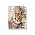 55307 Папка-уголок пластиковая ErichKrause® Wild Cat, A4 (в пакете по 12 шт.)