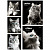 48-4807 Тетрадь КЛЕТКА 48л. ЧЁРНО-БЕЛЫЕ КОТИКИ (48-4807) цветная мелованная обложка